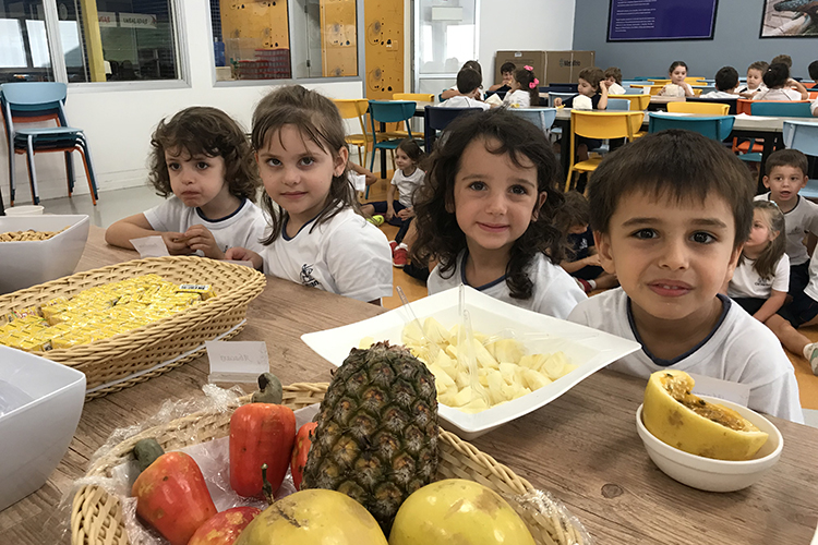 Recurso- história na luva O Tupi que você fala - Educa Market