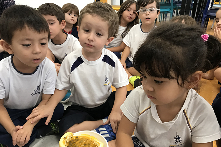 Recurso- história na luva O Tupi que você fala - Educa Market