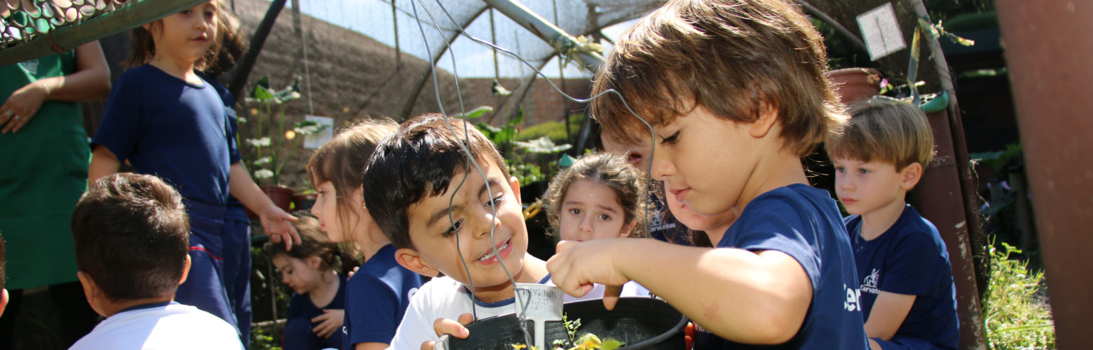 Educação Infantil