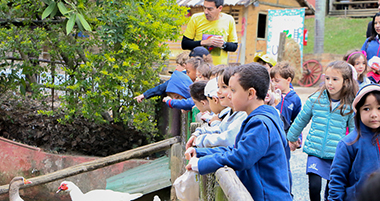 19/08/2025 - Visita à Cia dos Bichos